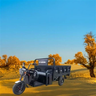 হেভি ডিউটি ইলেকট্রিক কার্গো ট্রাইসাইকেল