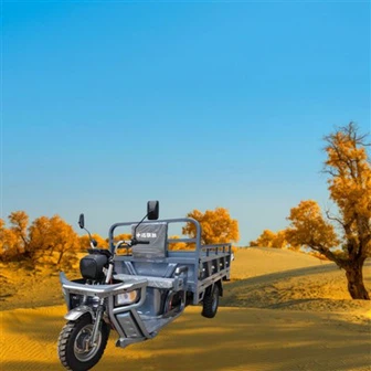 হালকা বৈদ্যুতিক কার্গো ট্রাইসাইকেল