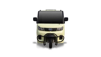 তিন দরজা বৈদ্যুতিক ট্রাইসাইকেল